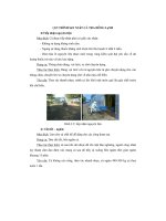 đề tài công nghệ sản suất fille cá basa - luận văn, đồ án, đề tài tốt nghiệp