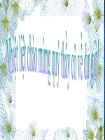 thuyết trình lịch sử - trào lưu cải cách duy tân ở việt nam nửa cuối thê kỉ xix (10)