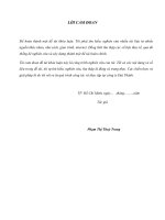 nâng cao hiệu quả hoạt động marketing-mix tại cty cp in bao bì đạt thành