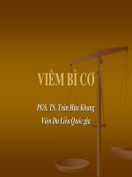 Giáo trình về viêm bì cơ