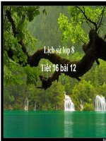 thuyết trình lịch sử -nhật bản giữa thế kỉ xix - đầu thế kỉ xx (9)