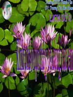 thuyết trình lịch sử -  nhật bản giữa hai cuộc chiến tranh thế giới (1918 - 1939) (5)