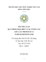 Bài tiểu luận môn miễn dịch thực vật