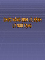 chức năng sinh lý bệnh lý ngũ tạng