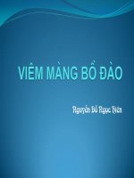 Bài giảng viêm màng bồ đào