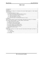 thực trạng công tác kế toán hàng tồn kho tại công ty cổ phần xây dựng thiết bị điện và viễn thông ánh dương
