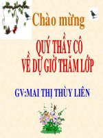 thuyết trình lịch sử - các nước anh, pháp. đức, mĩ cuối thế kỉ xix - đầu thế kỉ xx (4)