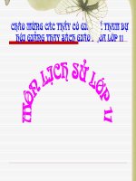 thuyết trình lịch sử -  phong trào yêu nước chống pháp từ đầu thế kỉ xx đến năm 1918 (13)