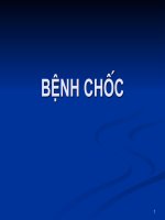 Slide bài giảng tổng quan về chốc