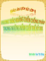 thuyết trình lịch sử - phong trào kháng chiến chống pháp trong những năm cuối thế kỉ xix (14)