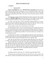 những ảnh hưởng của tập đoàn qđa quốc gia sony tại việt nam