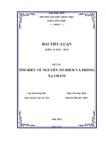 tìm hiểu về nguyên tố hiếm và phóng xạ urani