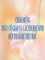 bài giảng sinh học 12 bài 36. quần thể sinh vật và mối quan hệ giữa các cá thể trong quần thể