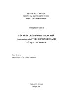 luận văn sản xuất chế phẩm diệt ruồi nhà (musca domestica) theo công nghệ sạch sử dụng propoxur - luận văn, đồ án, đề tài tốt nghiệp
