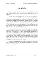 kế toán nguyên vật liệu tại công ty cổ phần tico