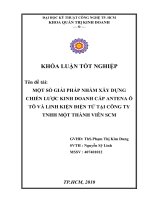 một số giải pháp nhằm xây dựng chiến lược kinh doanh sản xuất cáp antena và linh kiện điện tại công ty tnhh một thành viên scm