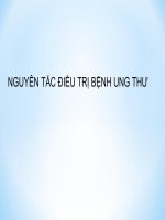 Bài giảng nguyên tắc điều trị bệnh ung thư