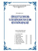 chính sách tỷ giá trong emes và cuộc khủng hoảng toàn cầu 2008 một số trường hợp đặc biệt