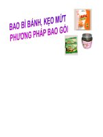 bao bì bánh kẹo mứt -phương pháp bao gói - luận văn, đồ án, đề tài tốt nghiệp