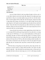 báo cáo thực tập công ty sao đỏ