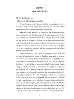 phân tích tình hình tín dụng tại ngân hàng phát triển nhà đồng bằng sông cửu long tỉnh kiên giang