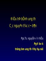 Bài giảng điều trị bệnh ung thư các nguyên tắc cơ bản