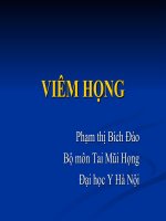 Slide viêm họng cấp mạn tính
