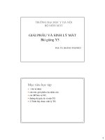 Giải phẫu sinh lý mắt