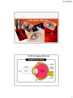 Bài giảng giải phẫu mắt