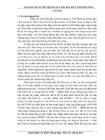 SKKN Giáo dục bảo vệ môi trường qua môn hoá học 8 ở trường thcs