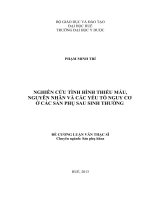 nghiên cứu tình hình thiếu máu, nguyên nhân và các yếu tố nguy cơ ở các sản phụ sau sinh thường