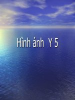 Hình ảnh tổng quan tai mũi họng