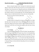 SKKN: Sử dụng hàm để giải một số bài toán ở THCS