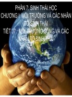 bài giảng sinh học 12 bài 35. môi trường sống và các nhân tố sinh thái