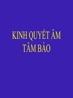 Slide kinh quyết âm tâm bào