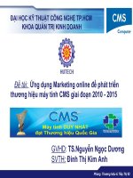 slide thuyết trình ứng dụng marketing online để phát triển thương hiệu máy tính cms giai đoạn 2010 - 2015