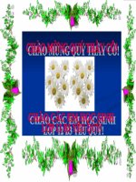 thuyết trình lịch sử - phong trào dân tộc dân chủ ở việt nam từ năm 1925 đến năm 1930 (12)