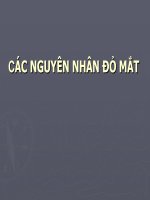 Slide các nguyên nhân đỏ mắt