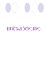 Slide các loại thuốc nam ở cộng đồng