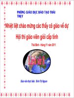 thuyết trình lịch sử - nước mĩ giữa hai cuộc chiến tranh thế giới (1918 - 1939) (5)