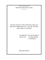 THU HÚT VỐN ĐẦU TƯ TRỰC TIẾP NƯỚC NGOÀI VÀO  KHU CÔNG NGHIỆP THỤY VÂN – VIỆT TRÌ – PHÚ THỌ  THỰC TRẠNG VÀ GIẢI PHÁP