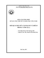 Báo cáo tổng hợp kết quả thực hiện đề tài khoa học công nghệ MỐI QUAN HỆ GIỮA TẬP ĐẠI SỐ VÀ IĐÊAN TRONG VÀNH K[X]