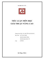 TIỂU LUẬN MÔN HỌC GIẢI THUẬT NÂNG CAO