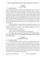 skkn các biện pháp gd hs cá biệt về mặt đạo đức ở trường tiểu học