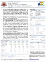 báo cáo phân tích doanh nghiệp tổng công ty bia-rượu-nước giải khát hà nội habeco