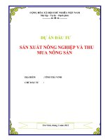 Dự án sản xuất nông nghiệp và thu mua nông sản  Thiết lập dự án đầu tư