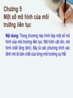 một số mô hình của môi trường liên tục