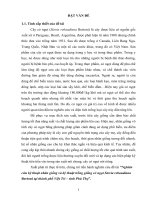 Nghiên cứu kỹ thuật nhân giống và kỹ thuật trồng giống cỏ ngọt Stevia rebaudiana Bertoni tại thành phố Việt Trì – tỉnh Phú Thọ