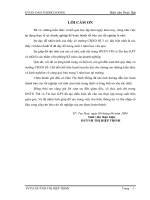 thực trạng công tác kế toán mua bán hàng hoá và xác định kết quả kinh doanh tại dntn tm và tin học kpt