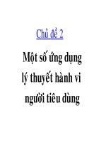 một số ứng dụng hành vi lý thuyết người tiêu dùng